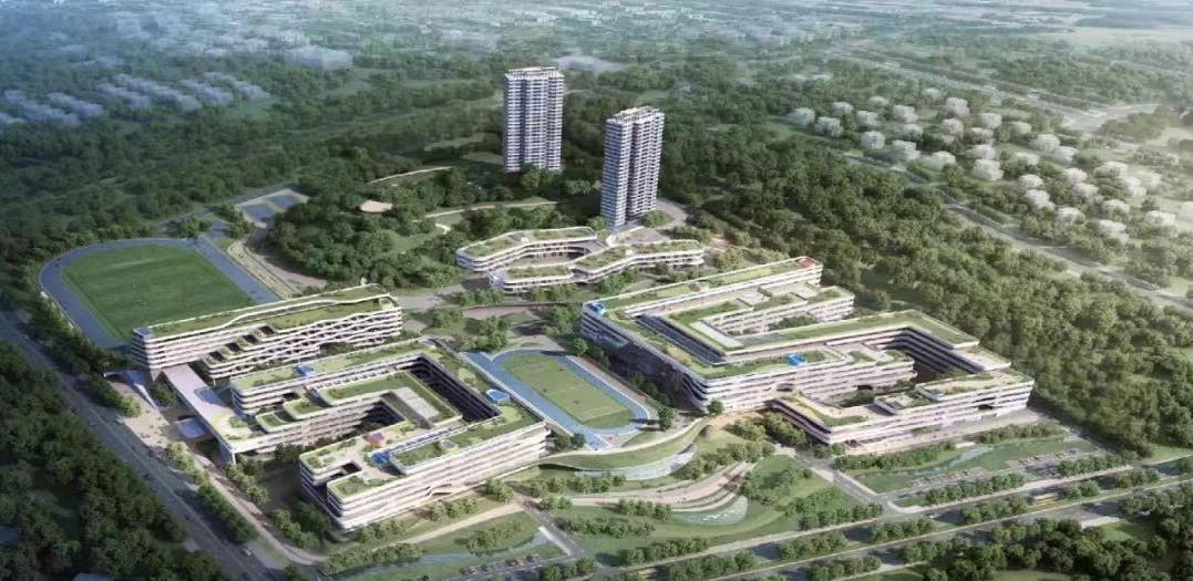 最高60万年薪招老师！与OPPO、vivo联合办学，教育硬件巨头步步高风光不再