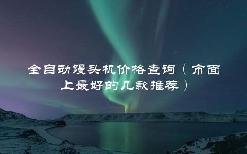 全自动馒头机价格查询（市面上最好的几款推荐）