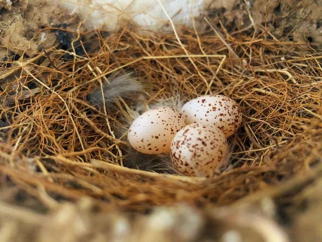 20个不用翻墙也能看的顶级摄影网站