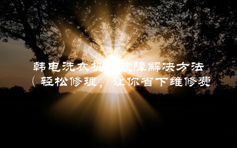 韩电洗衣机e2故障解决方法（轻松修理，让你省下维修费用）
