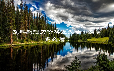 飞科剃须刀价格表大全（购买前必看）