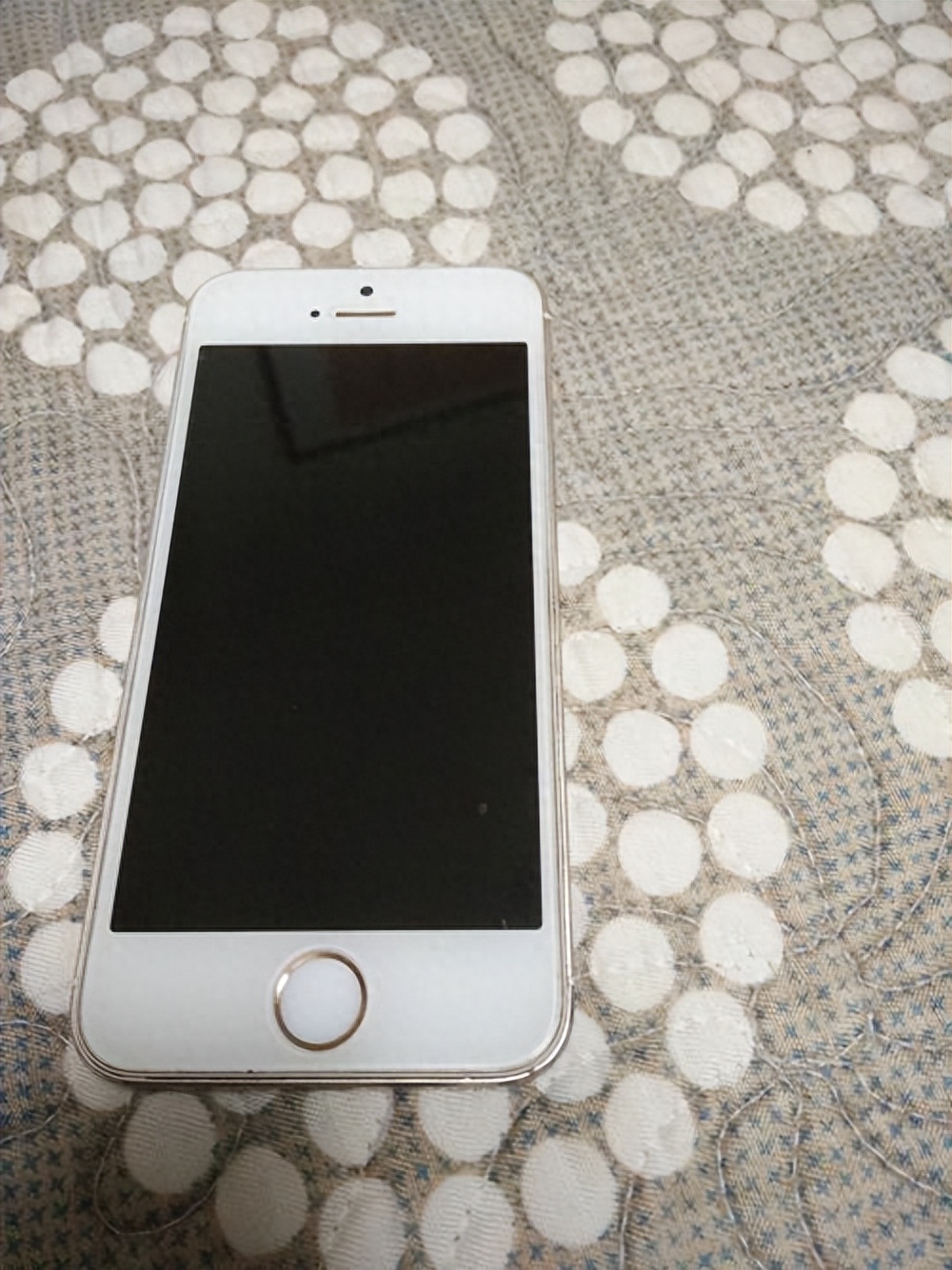 沈阳最大旧货市场,苹果5s,居然40块钱?为什么?你敢买吗?