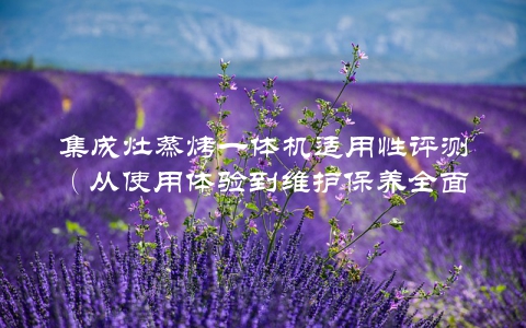 集成灶蒸烤一体机适用性评测（从使用体验到维护保养全面介绍）