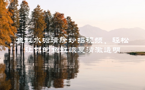鱼缸水垢清除妙招视频，轻松让你的鱼缸恢复清澈透明