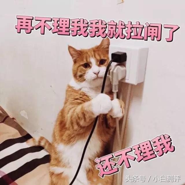 ZUK或将新生 曝联想为其设专属网站