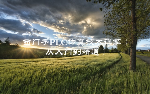 西门子PLC仿真技术详解（从入门到精通）
