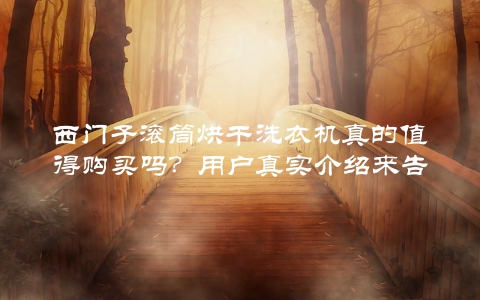 西门子滚筒烘干洗衣机真的值得购买吗？用户真实介绍来告诉你