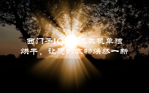 西门子IQ300洗衣机单独烘干，让您的衣物焕然一新