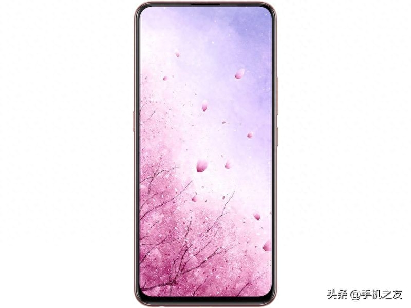 vivo S1(6GB 256GB)参数大全,赏心悦目