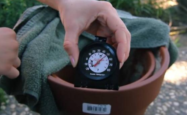 世界上最便宜的“冰箱”,不用一度电,一台只卖15元!