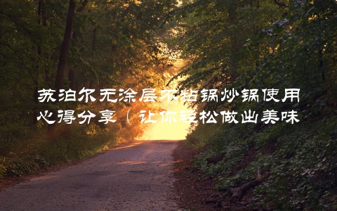苏泊尔无涂层不粘锅炒锅使用心得分享（让你轻松做出美味佳肴）