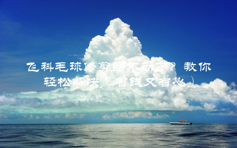 飞科毛球修剪器不动了？教你轻松解决（省钱又省心）