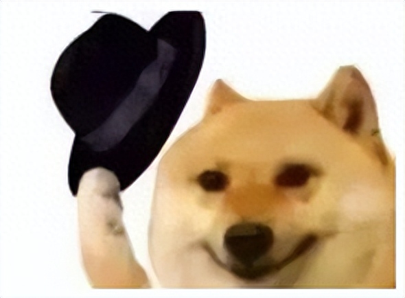 还在用网易云吗？这款音乐播放器良心无广告，畅听全网付费音乐