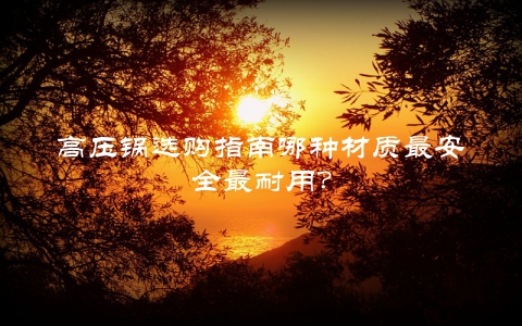 高压锅选购指南哪种材质最安全最耐用？