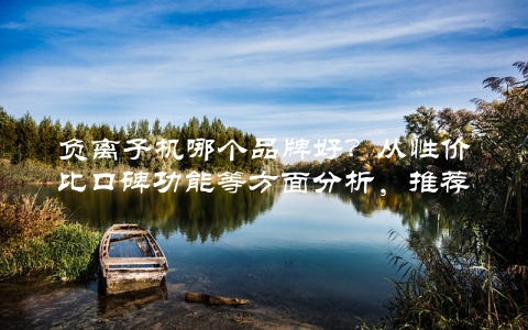 负离子机哪个品牌好？从性价比口碑功能等方面分析，推荐这几个品牌