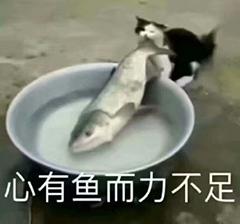 Word空白页老是删不掉?教你5个超简单的方法,1秒就能KO所有