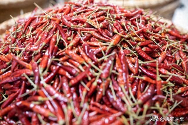 辣椒价格浮动大，今日各地辣椒价格多少钱一斤？速来了解！