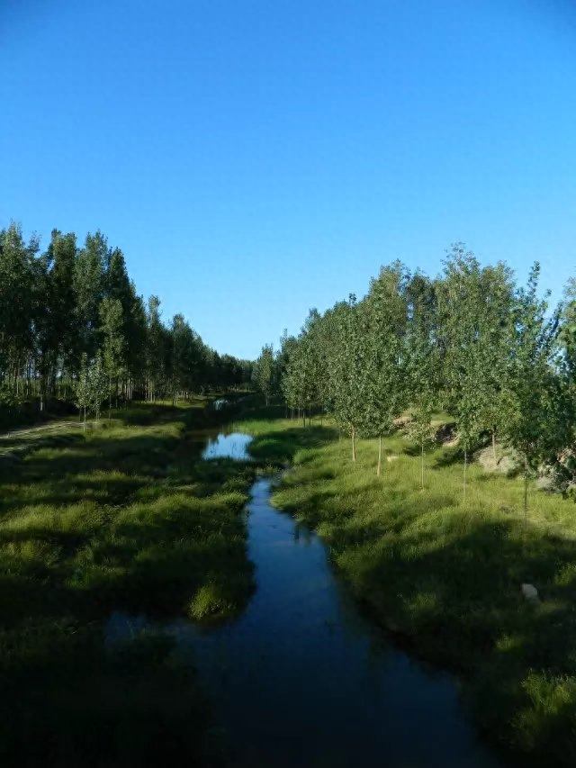 河南乡村记忆:消失了的风景,留不住的乡愁
