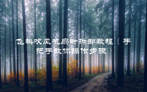 飞科吹风机扇叶拆卸教程（手把手教你操作步骤）