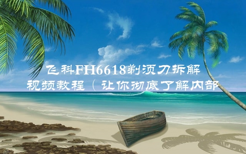 飞科FH6618剃须刀拆解视频教程（让你彻底了解内部构造和使用方法）