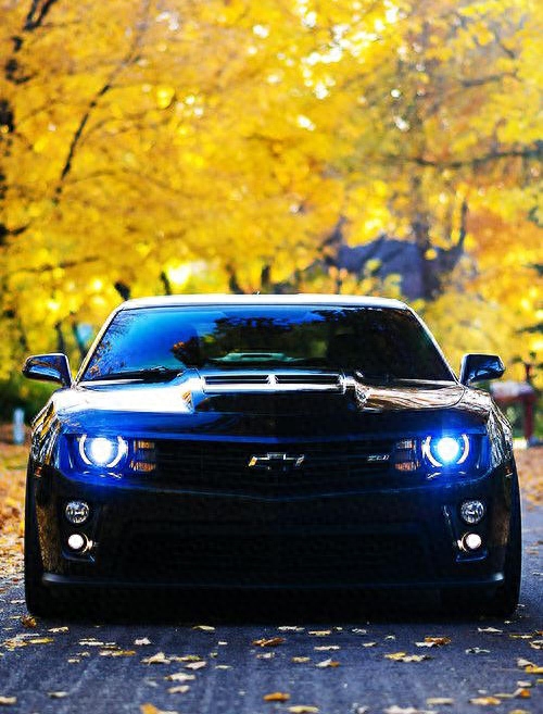 世界上最帅的10辆大黄蜂跑车,你更喜欢哪一辆?