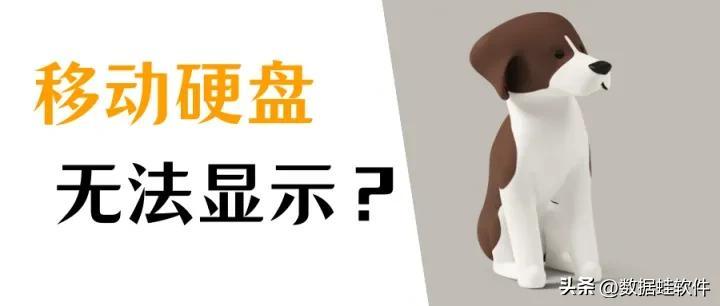 移动硬盘不显示怎么办？恢复硬盘的方法汇总