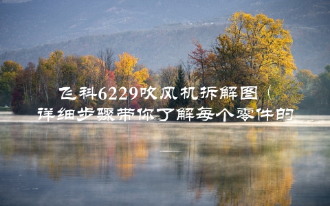 飞科6229吹风机拆解图（详细步骤带你了解每个零件的作用）