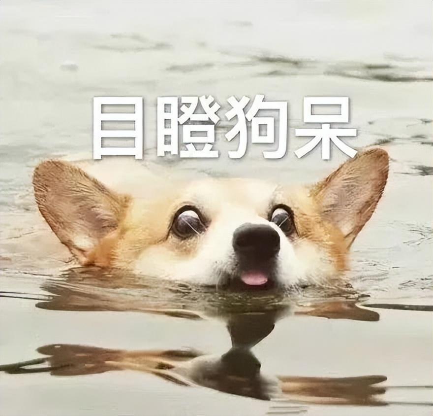 普通人不配用？这国产今天的瓜有点大