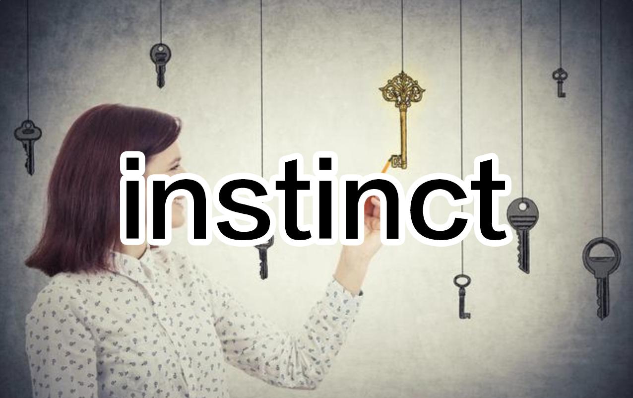 随时随地记单词，今日学习：instinct
