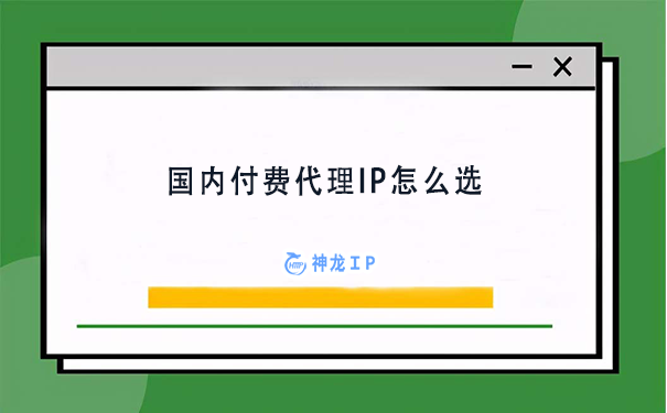 国内付费代理IP平台怎么选