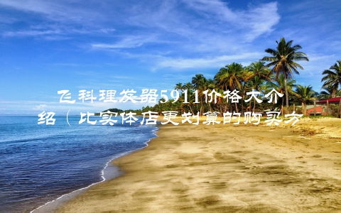 飞科理发器5911价格大介绍（比实体店更划算的购买方式）