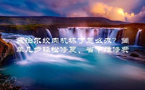 苏泊尔绞肉机坏了怎么办？简单几步轻松修复，省下维修费用