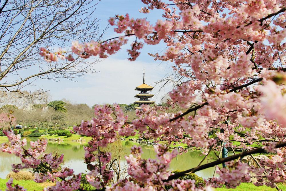 这些中文千万不要用英语直译，老外根本看不懂