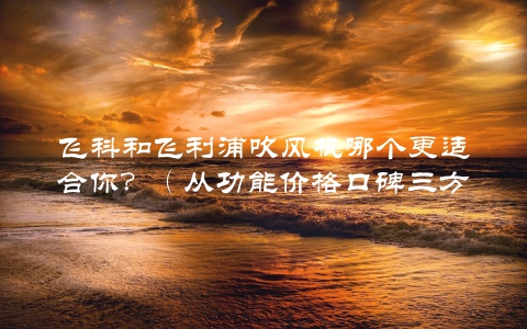 飞科和飞利浦吹风机哪个更适合你？（从功能价格口碑三方面对比，一目了然）