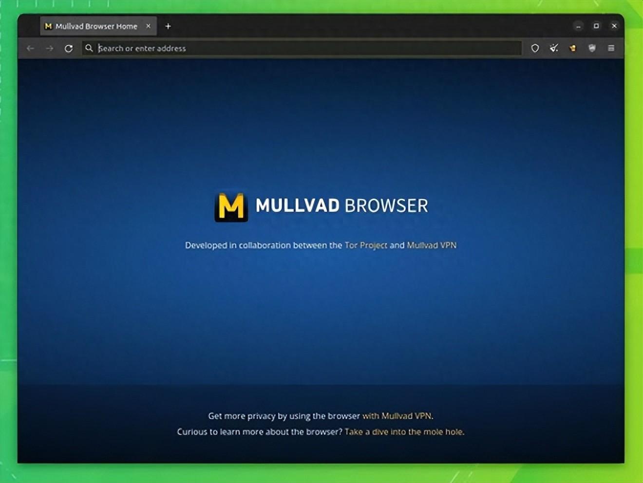 最大限度保护个人隐私，国外安全浏览器：Mullvad Browser 13.0.1