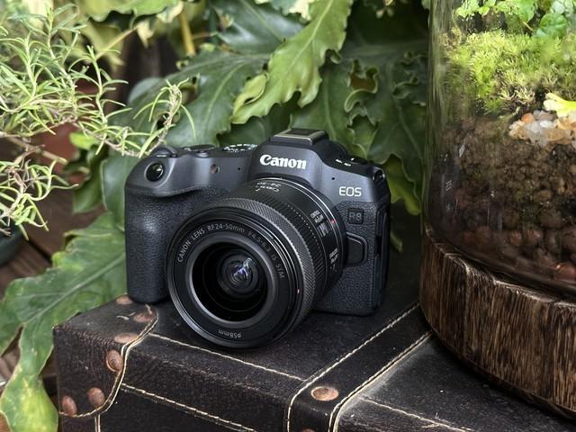 4K超清、智能对焦 全幅微单佳能R8套机13499元