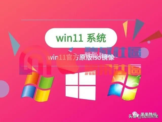 「镜像分享」win11原版iso镜像
