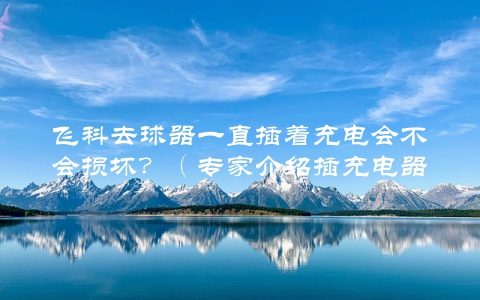 飞科去球器一直插着充电会不会损坏？（专家介绍插充电器的正确方式）