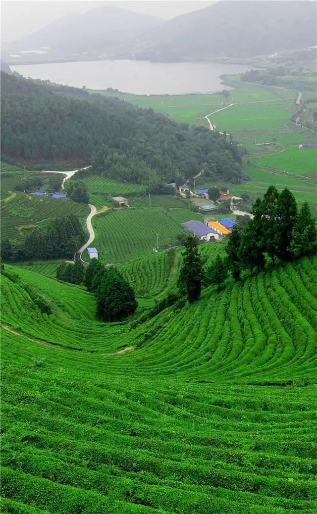 高清养眼绝美手机壁纸102张，经常看一看，缓解一下眼睛疲劳