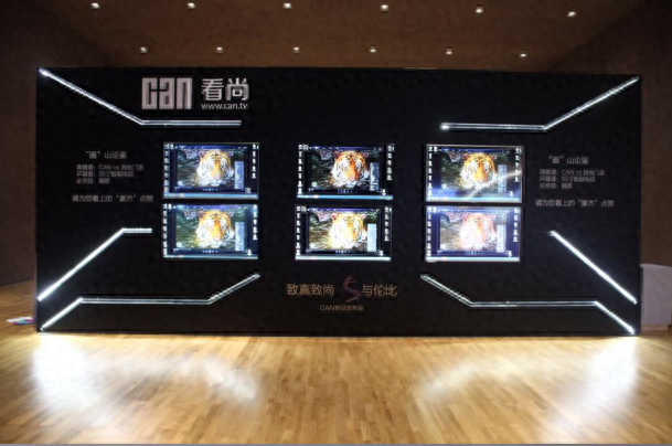 “盲看”试出真功夫 看尚CANTV旗舰新品W55独霸武林