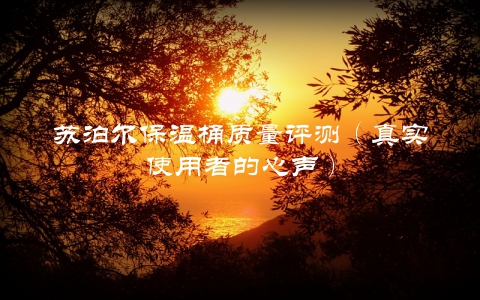 苏泊尔保温桶质量评测（真实使用者的心声）