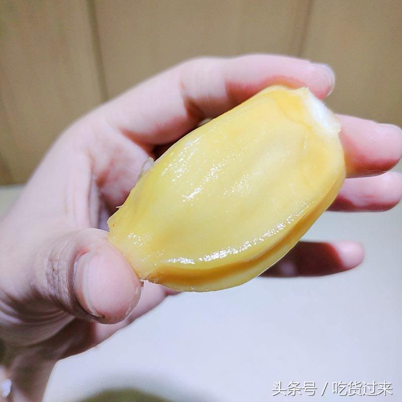 「吃货过来」菠萝菠萝蜜