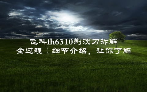 飞科fh6310剃须刀拆解全过程（细节介绍，让你了解它的每个零件）