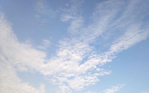 b站back什么梗 back弹幕什么意思内涵怎么用