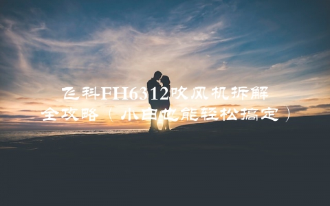 飞科FH6312吹风机拆解全攻略（小白也能轻松搞定）